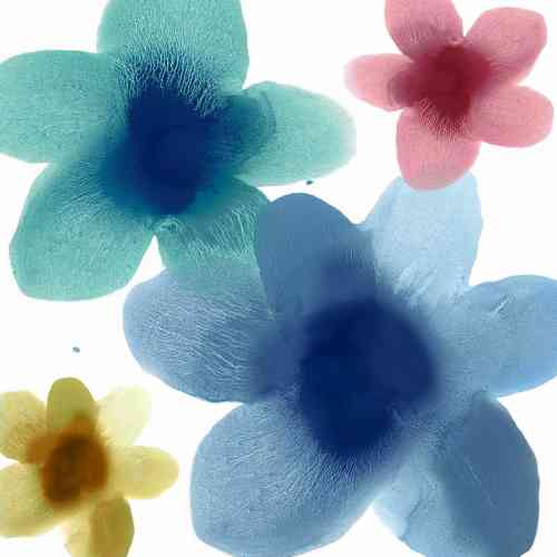 Hannah Carlson Art Prints: Bold, Contemporary Work That Transforms a Room 1 Floral Joy I by Hannah Carlson, hannah carlson art prints