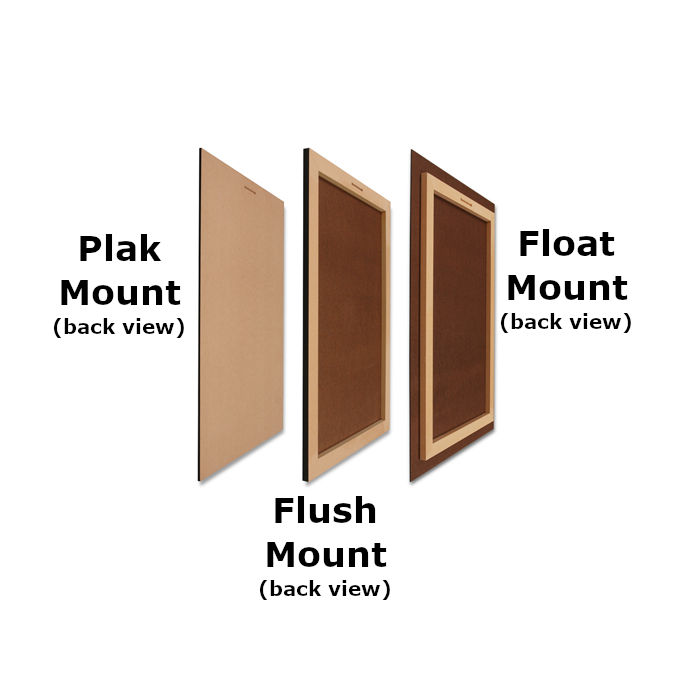 Sch&eacute;ma technique en coupe montrant la profondeur de construction des montages Plak, Float et Flush