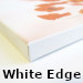 White Edge