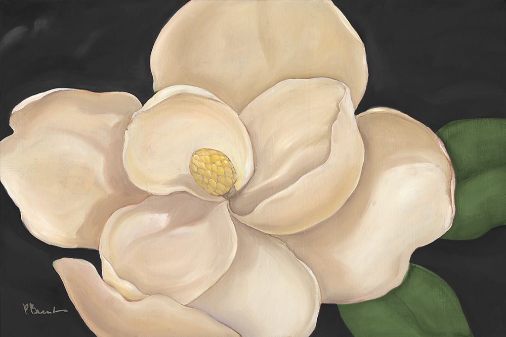 Magnolia Grandiflora - Black art print by Paul Brent for $57.95 CAD