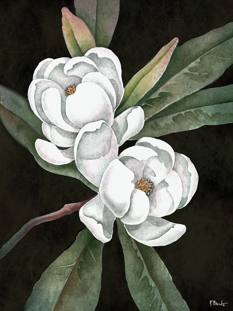 Bay Magnolia - Black art print by Paul Brent for $57.95 CAD