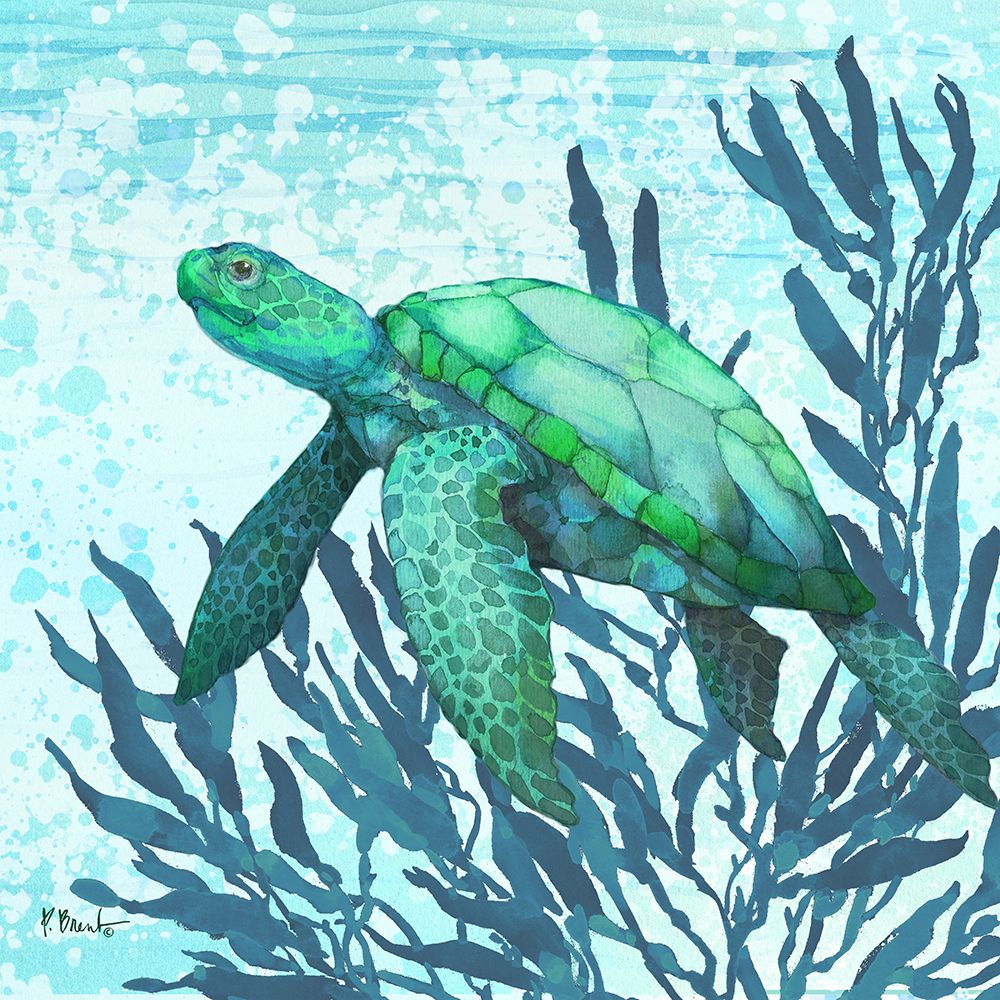 Calypso Turtles II - Bright art print by Paul Brent for $57.95 CAD