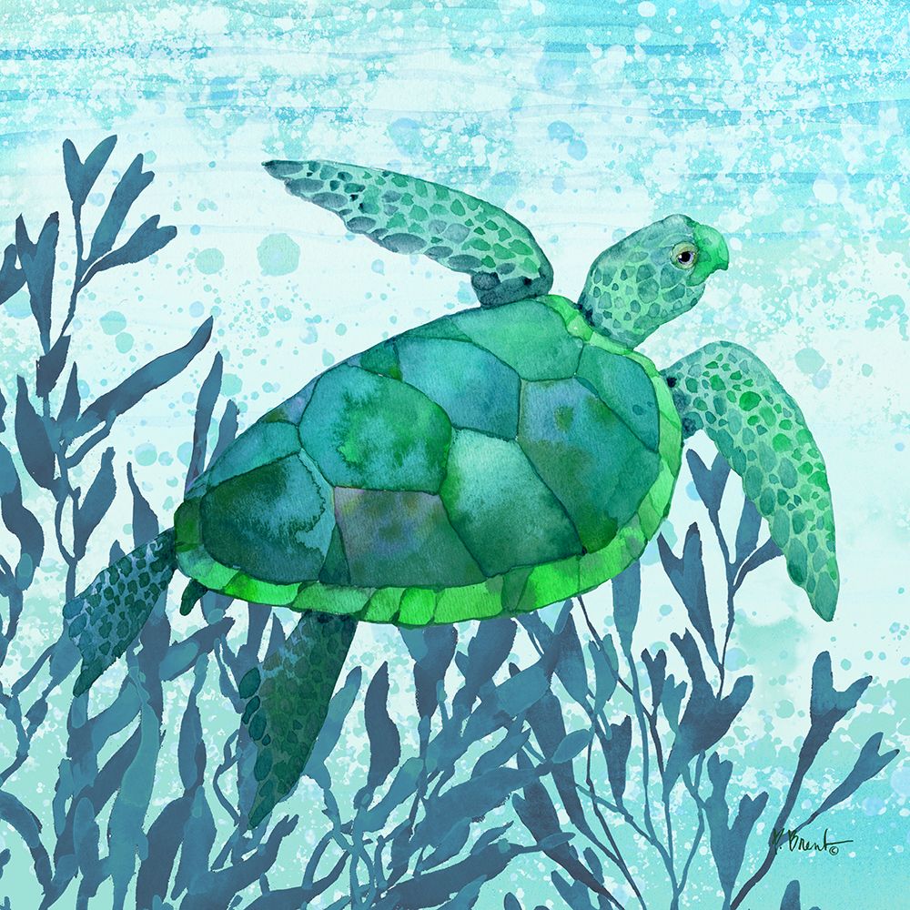 Calypso Turtles III - Bright art print by Paul Brent for $57.95 CAD