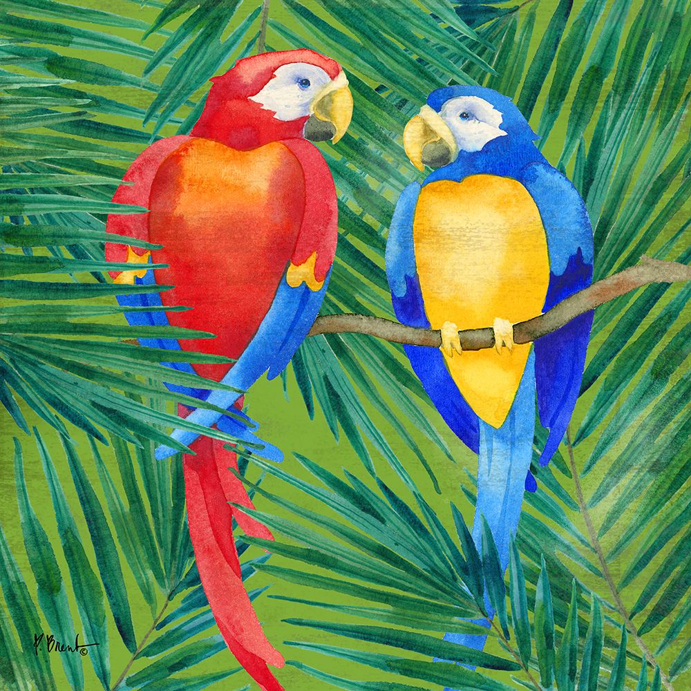Amazon Birds I art print by Paul Brent for $57.95 CAD