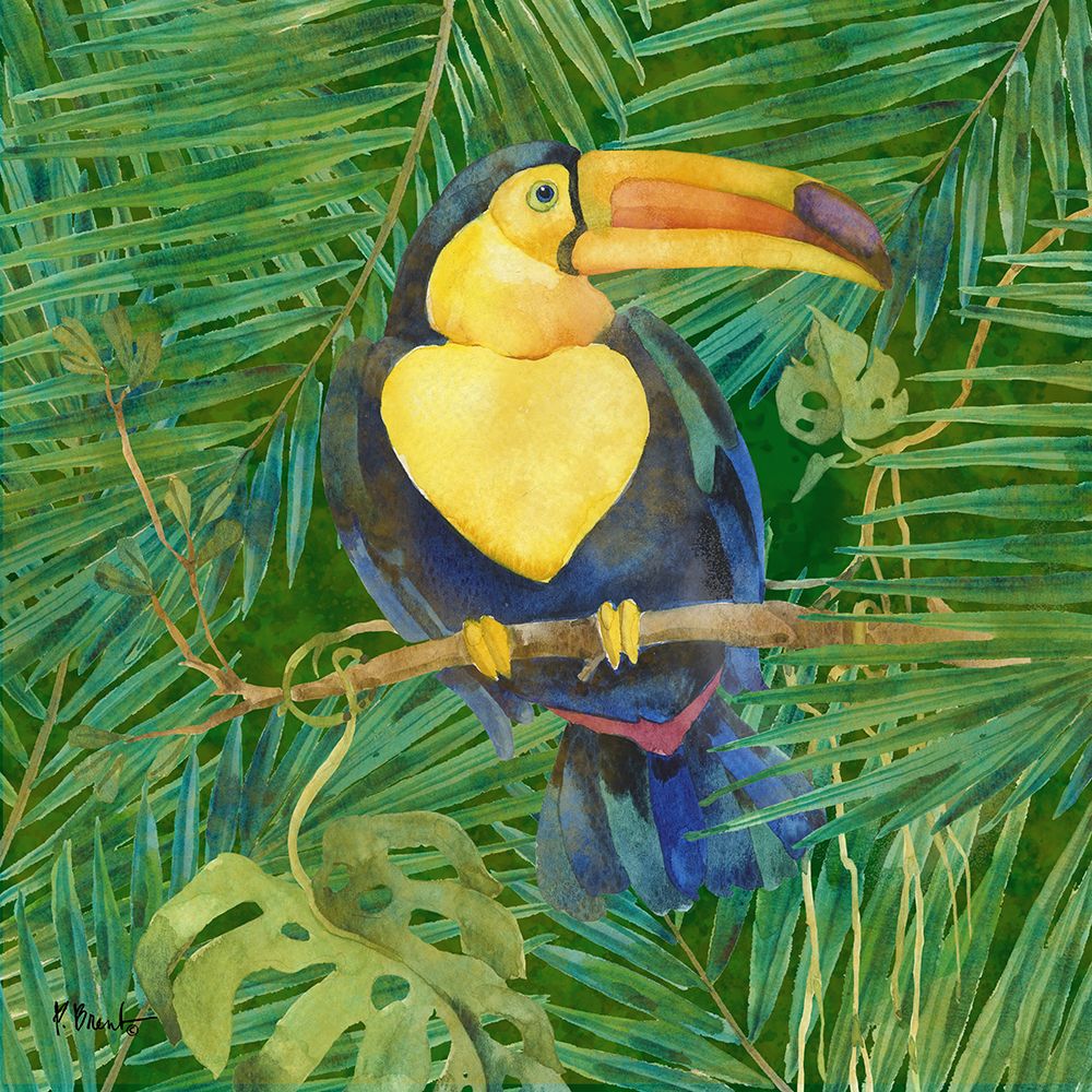 Amazon Birds II art print by Paul Brent for $57.95 CAD