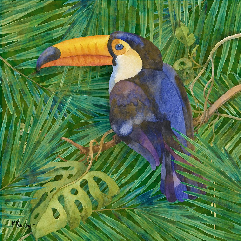 Amazon Birds III art print by Paul Brent for $57.95 CAD