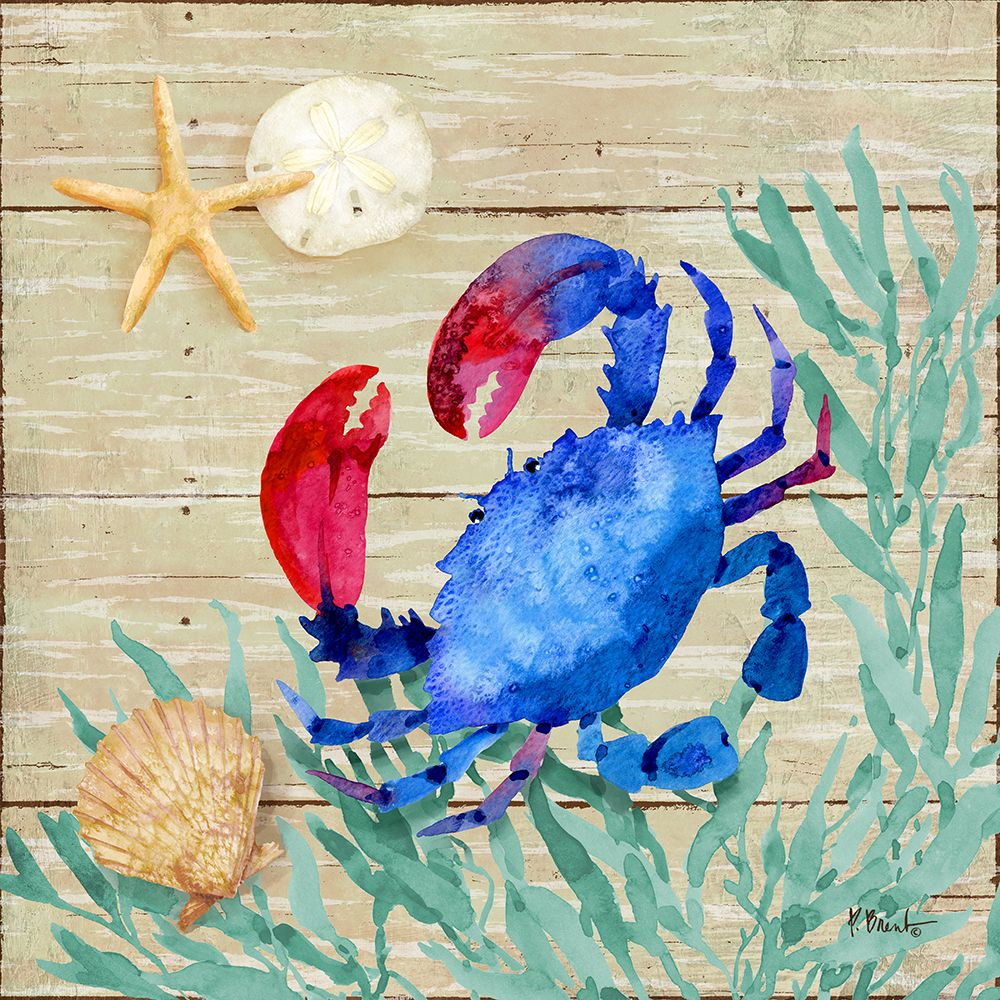 Seagrove Crab IV art print by Paul Brent for $57.95 CAD