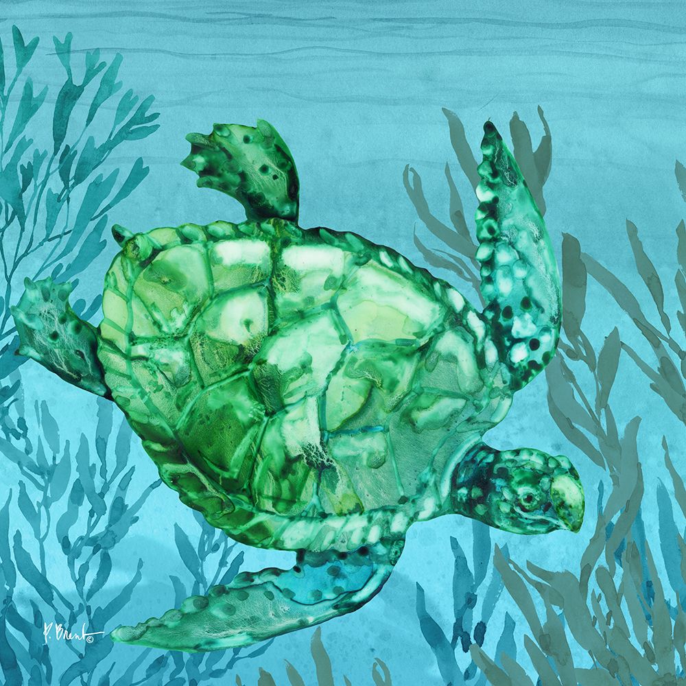 Tonga Sealife I art print by Paul Brent for $57.95 CAD