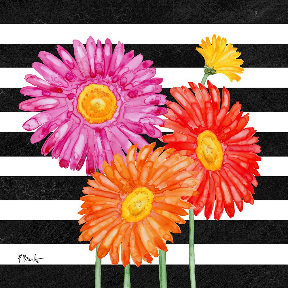 Helena Daisies I - Stripes art print by Paul Brent for $57.95 CAD