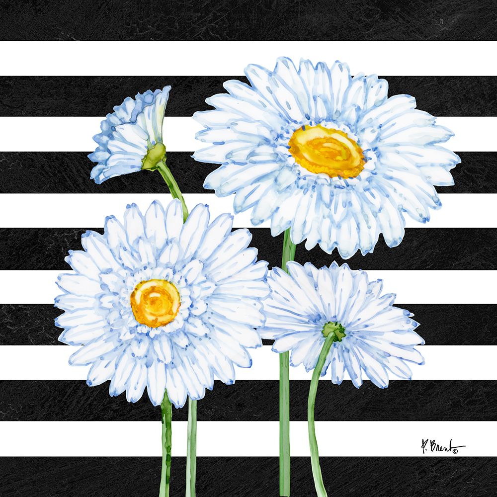 Helena Daisies II - Stripes art print by Paul Brent for $57.95 CAD