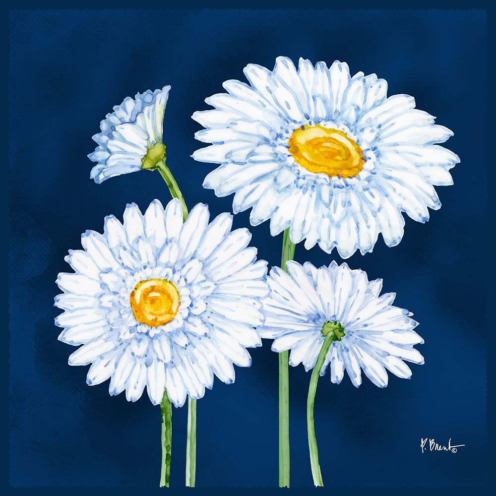 Helena Daisies II art print by Paul Brent for $57.95 CAD