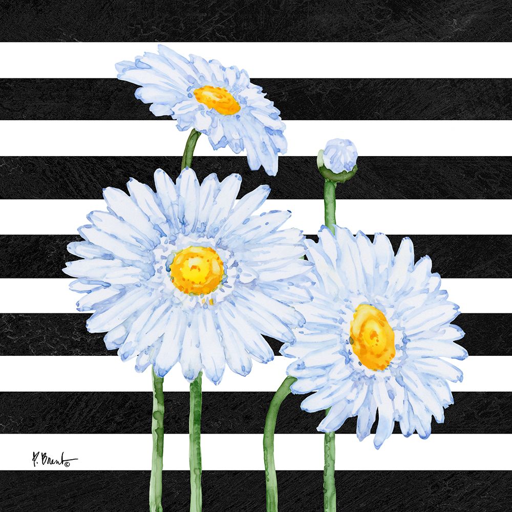 Helena Daisies III - Stripes art print by Paul Brent for $57.95 CAD