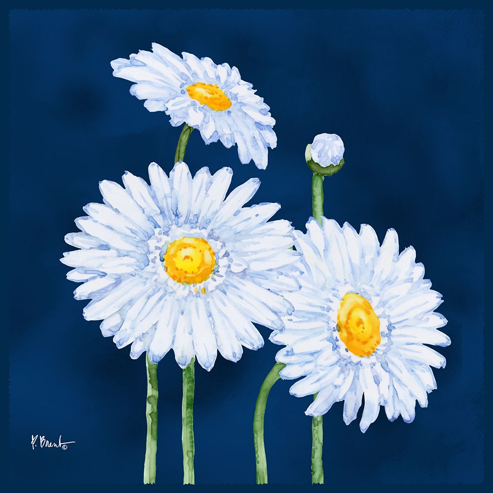 Helena Daisies III art print by Paul Brent for $57.95 CAD