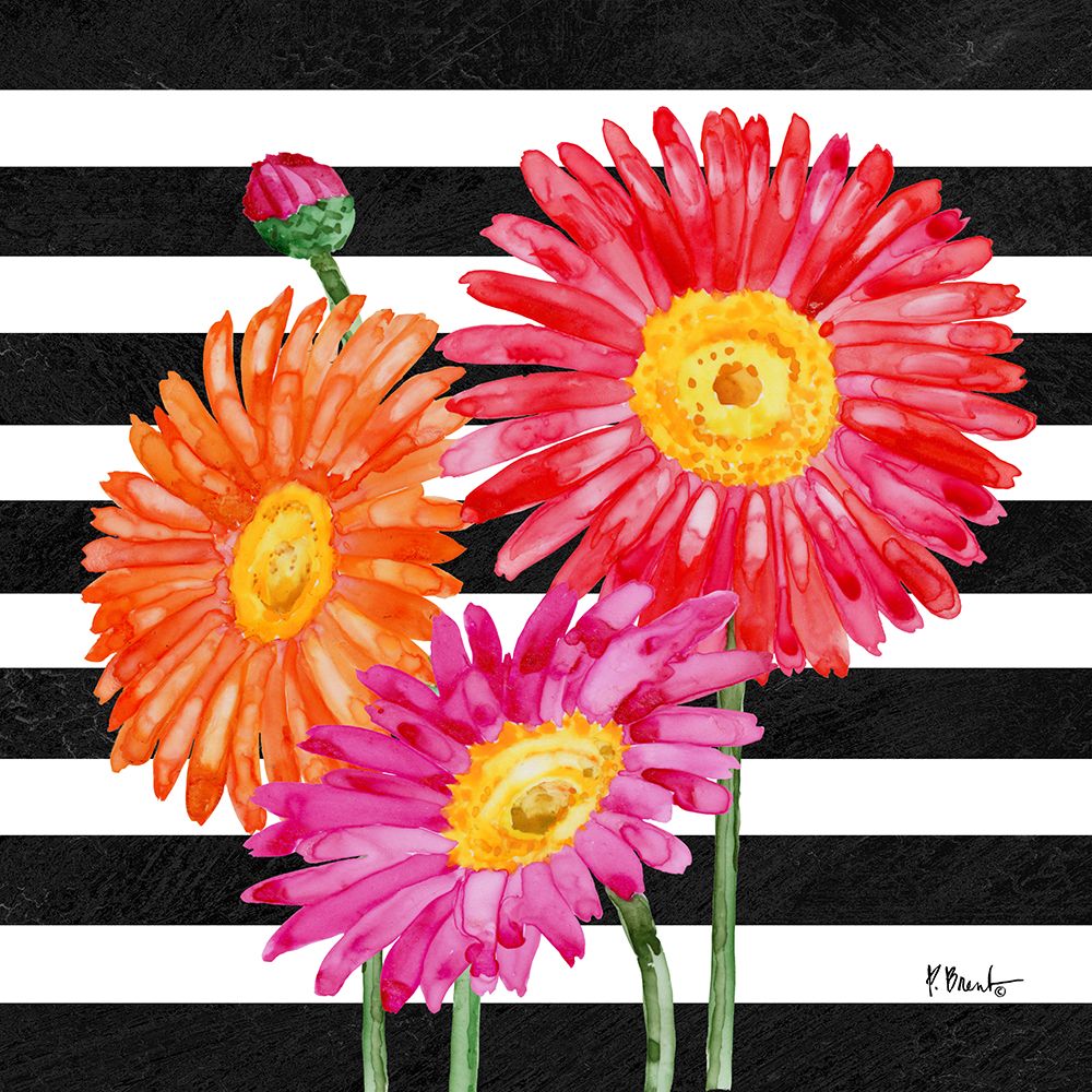 Helena Daisies IV - Stripes art print by Paul Brent for $57.95 CAD