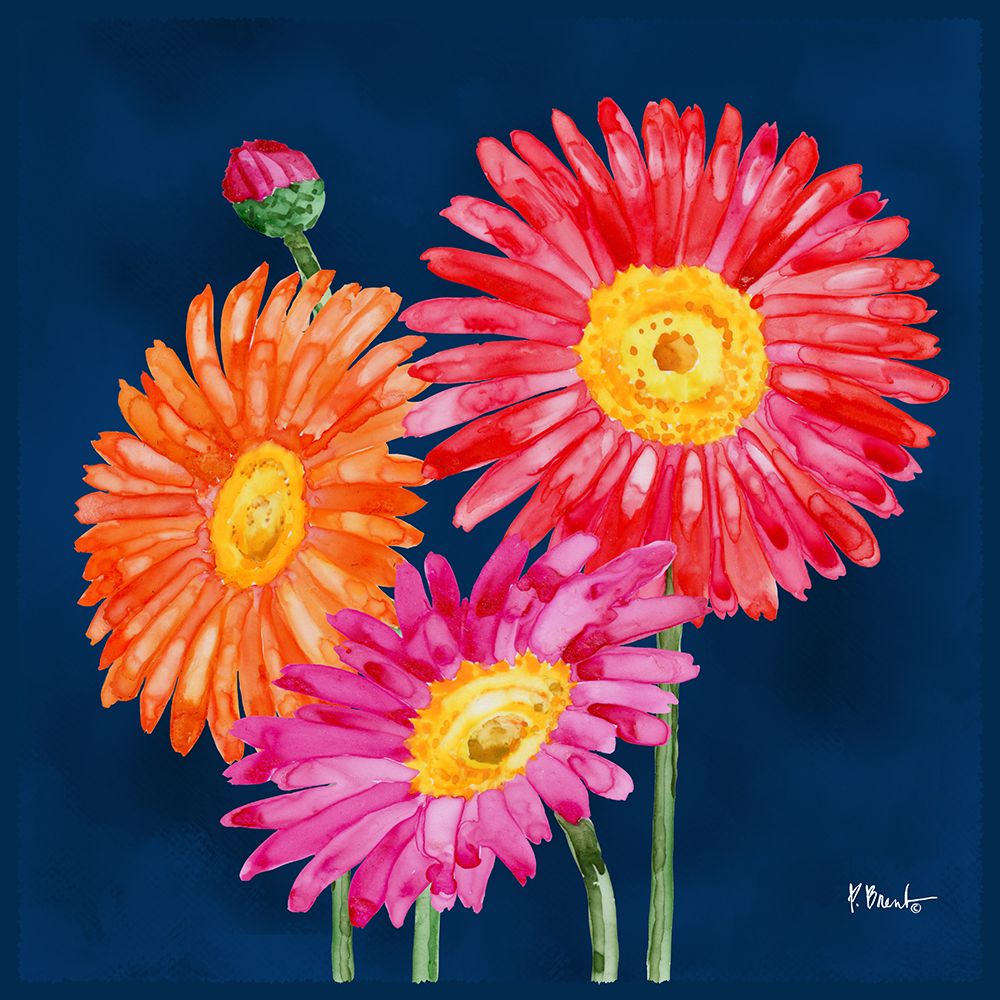 Helena Daisies IV art print by Paul Brent for $57.95 CAD