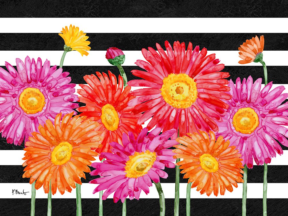 Helena Daisies Horizontal I - Stripes art print by Paul Brent for $57.95 CAD