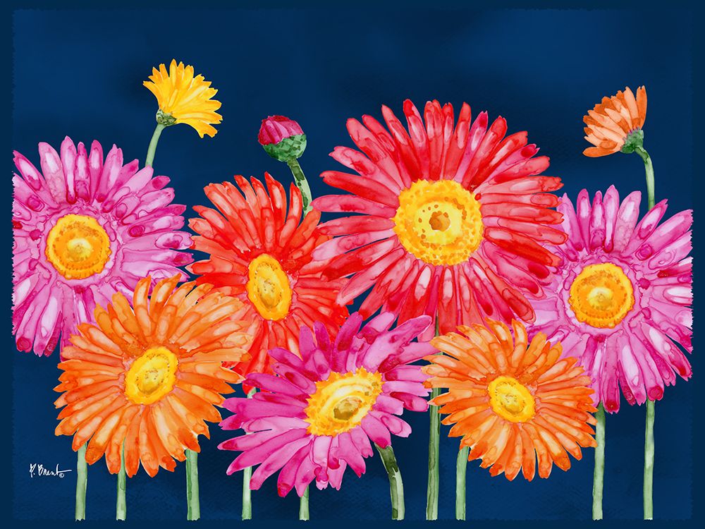 Helena Daisies Horizontal I art print by Paul Brent for $57.95 CAD