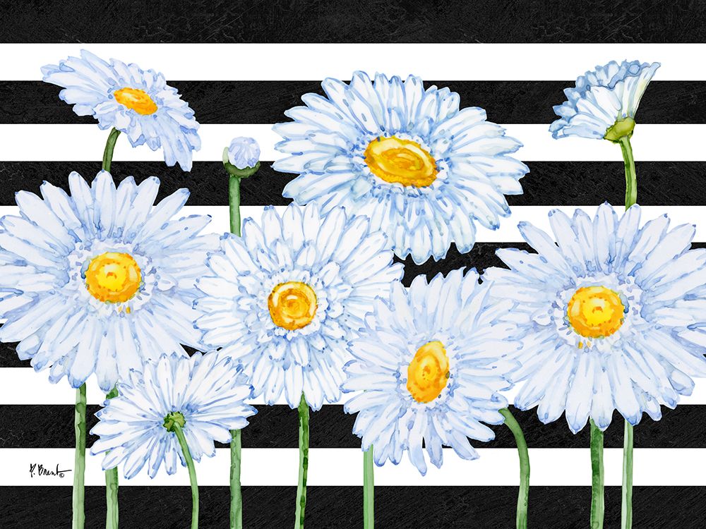 Helena Daisies Horizontal II - Stripes art print by Paul Brent for $57.95 CAD