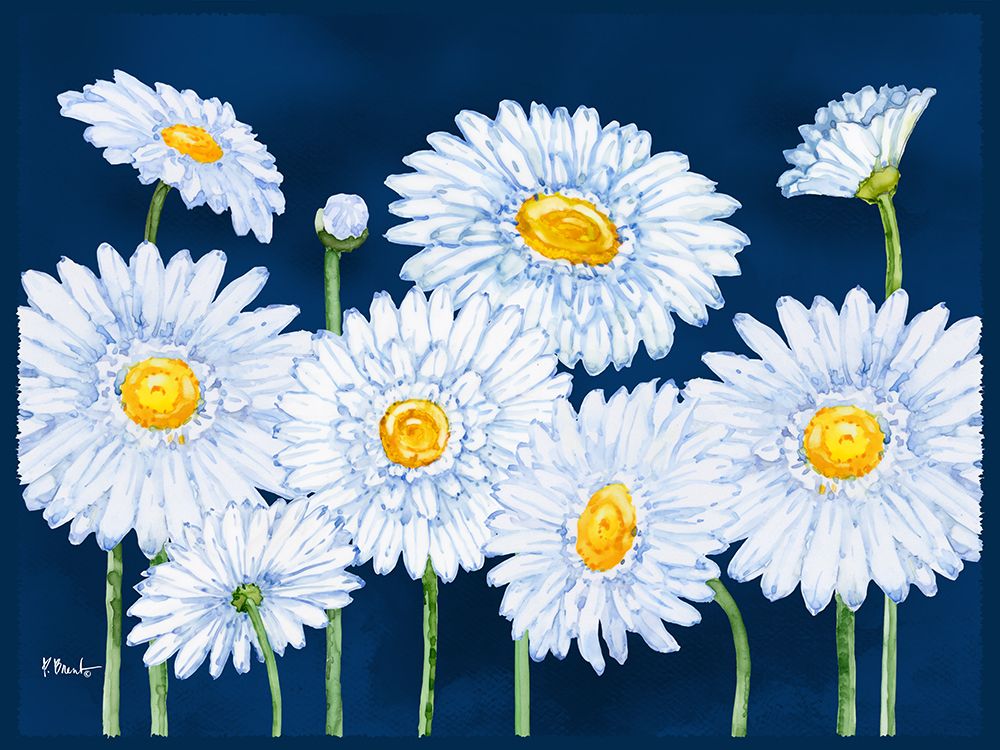 Helena Daisies Horizontal II art print by Paul Brent for $57.95 CAD