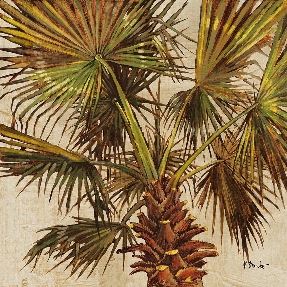 Woodside Palms I art print by Paul Brent for $57.95 CAD