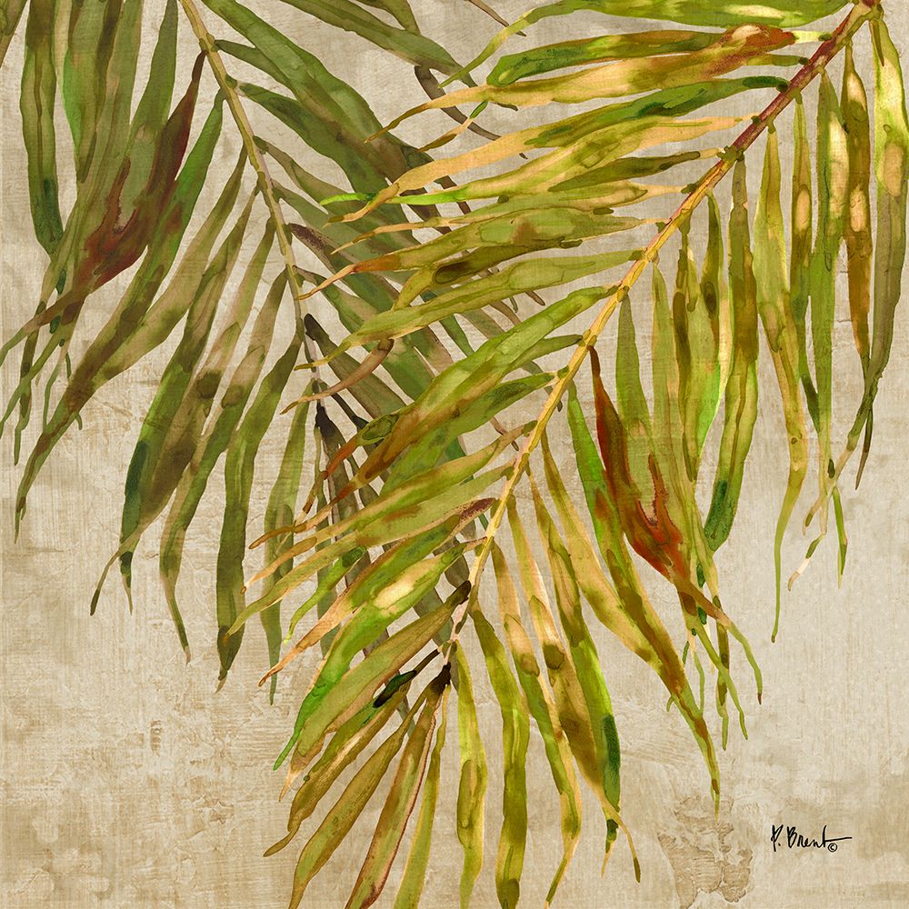 Palmdale Fronds I art print by Paul Brent for $57.95 CAD