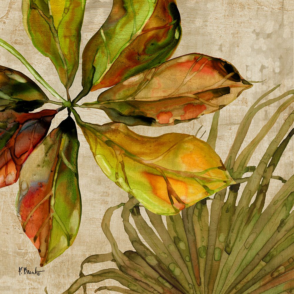 Palmdale Fronds II art print by Paul Brent for $57.95 CAD