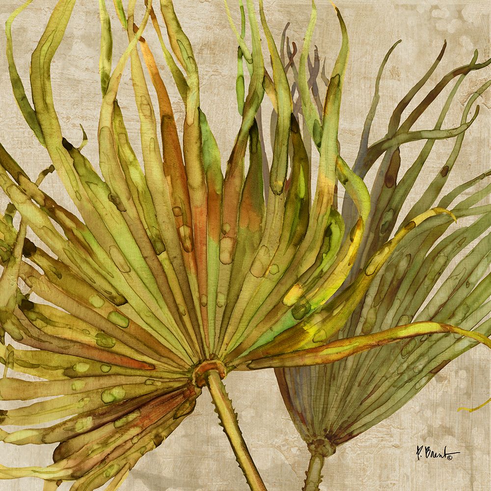 Palmdale Fronds III art print by Paul Brent for $57.95 CAD