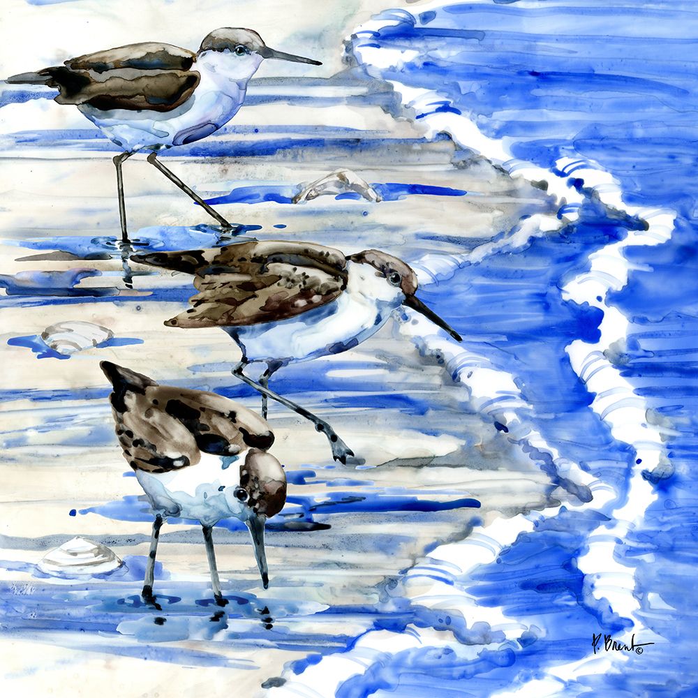 Rockhampton Sandpipers I art print by Paul Brent for $57.95 CAD