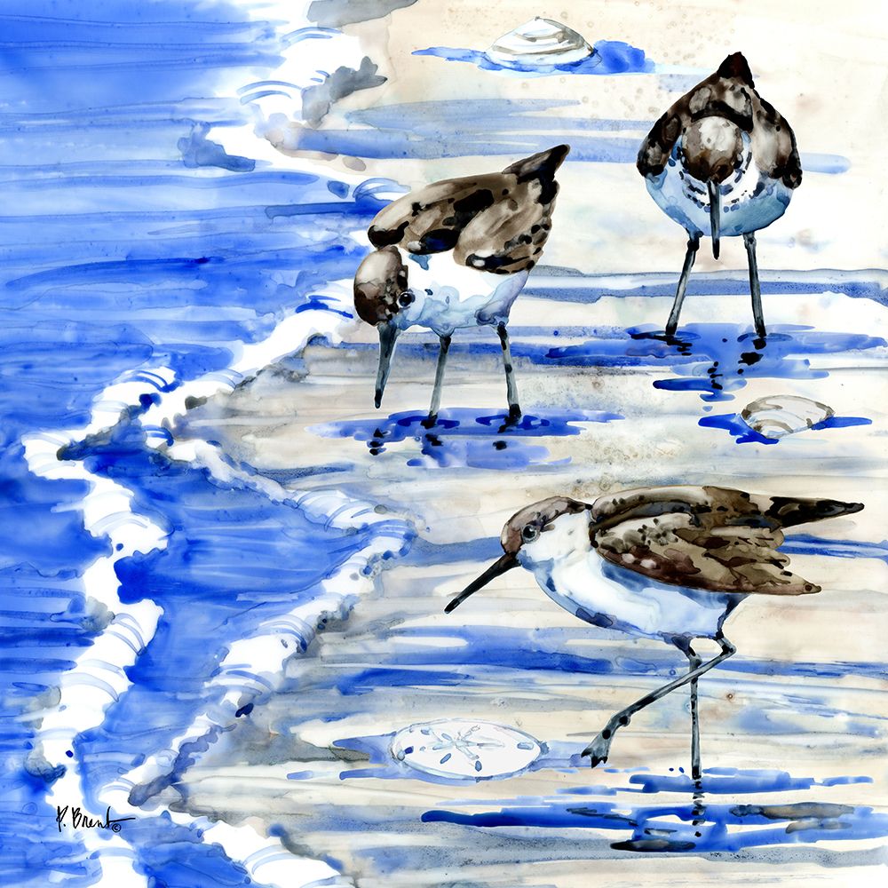 Rockhampton Sandpipers II art print by Paul Brent for $57.95 CAD