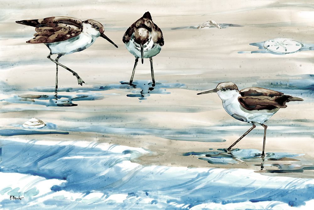 Rockhampton Sandpipers Horizontal - Light art print by Paul Brent for $57.95 CAD