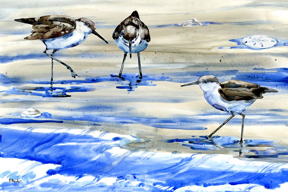 Rockhampton Sandpipers Horizontal art print by Paul Brent for $57.95 CAD