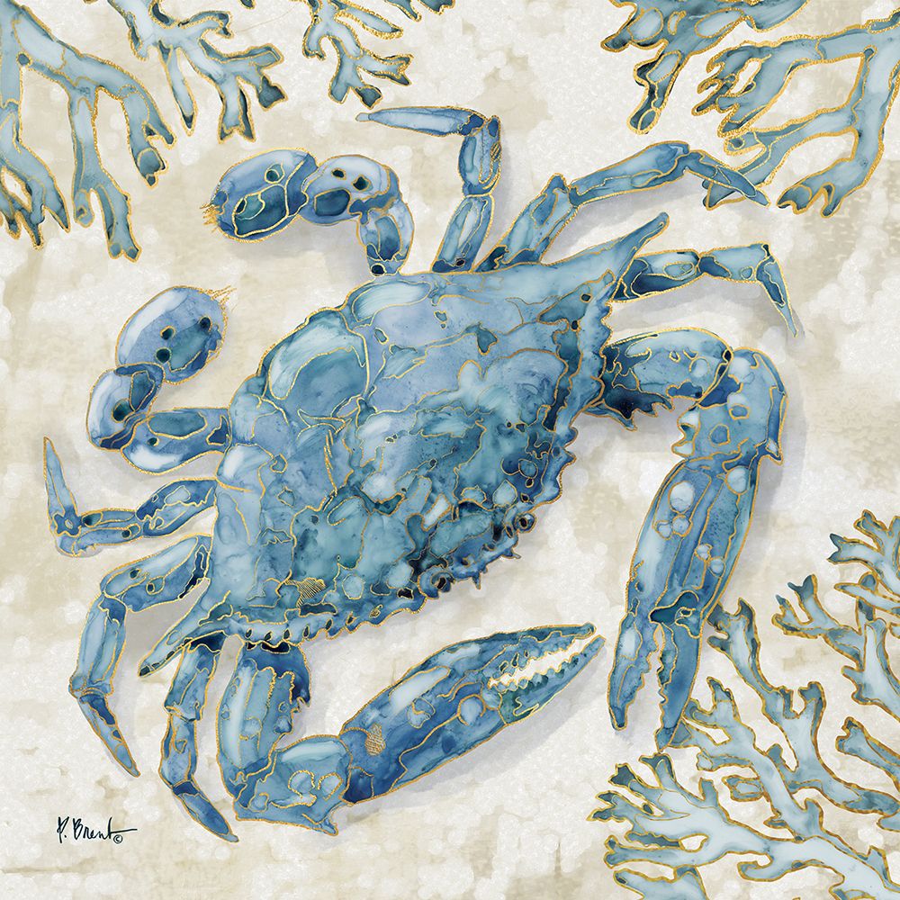 Playa Sealife I art print by Paul Brent for $57.95 CAD