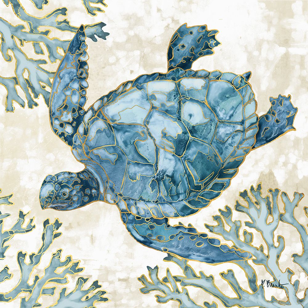 Playa Sealife II art print by Paul Brent for $57.95 CAD