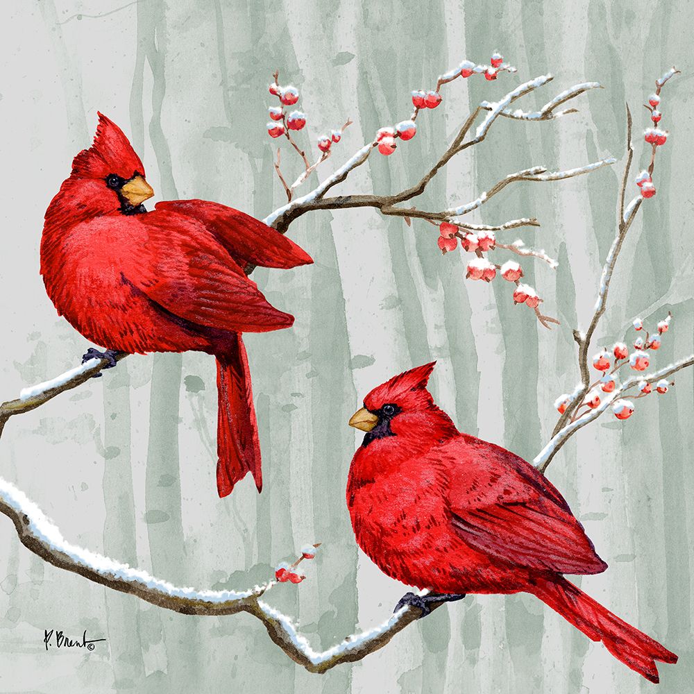 Snowy Cardinals II art print by Paul Brent for $57.95 CAD