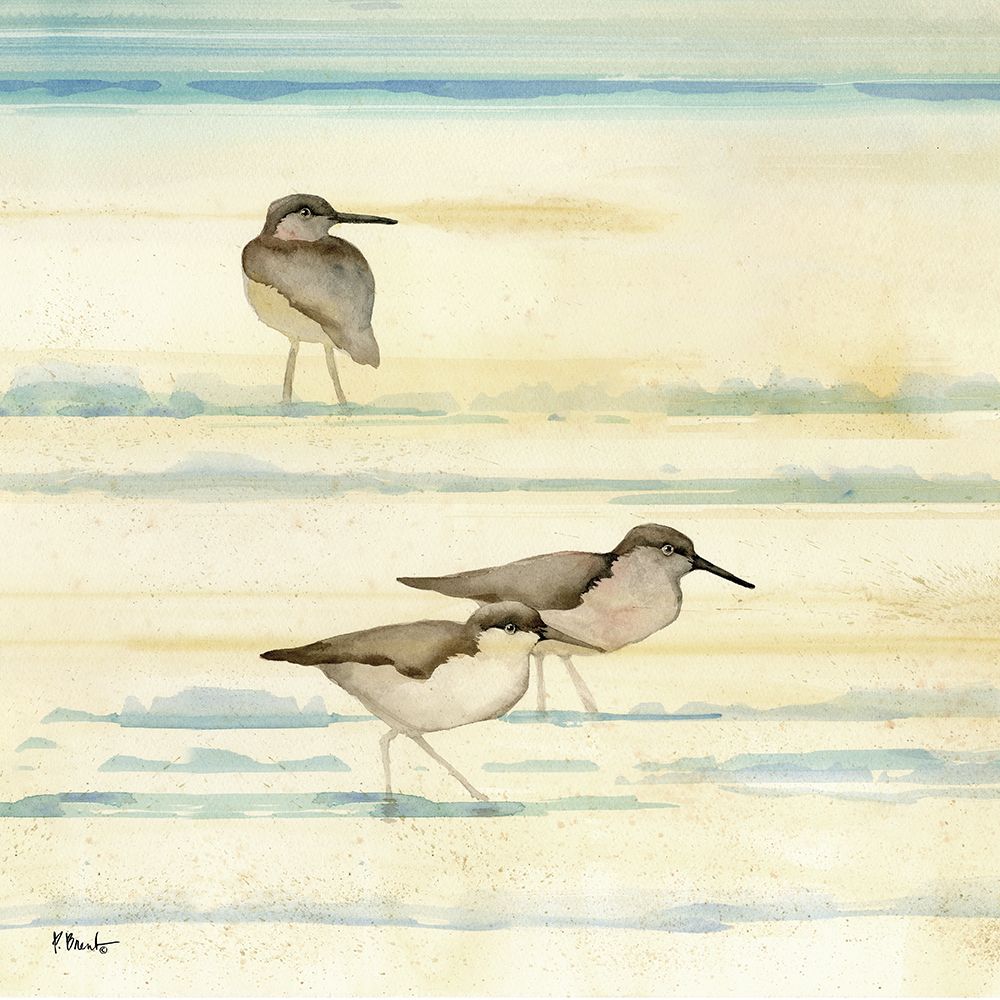 Oceanside Sandpipers I art print by Paul Brent for $57.95 CAD