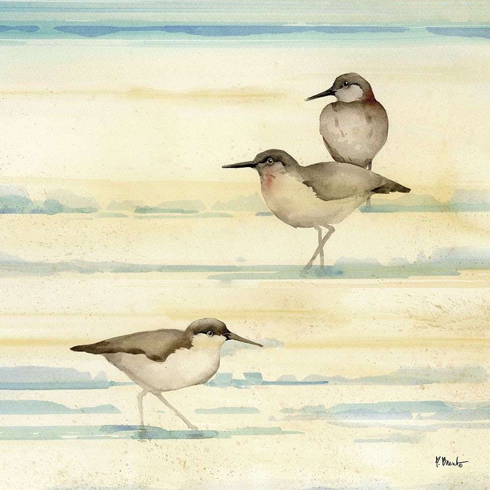 Oceanside Sandpipers II art print by Paul Brent for $57.95 CAD