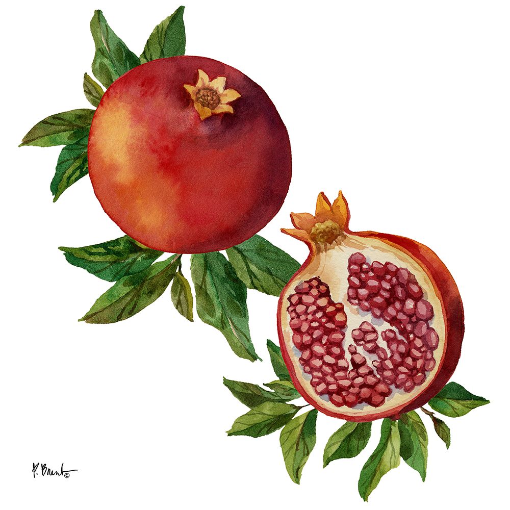 Pomegranate Bunch I art print by Paul Brent for $57.95 CAD