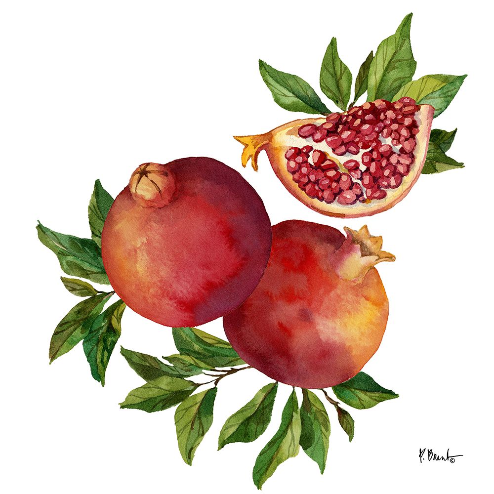Pomegranate Bunch II art print by Paul Brent for $57.95 CAD