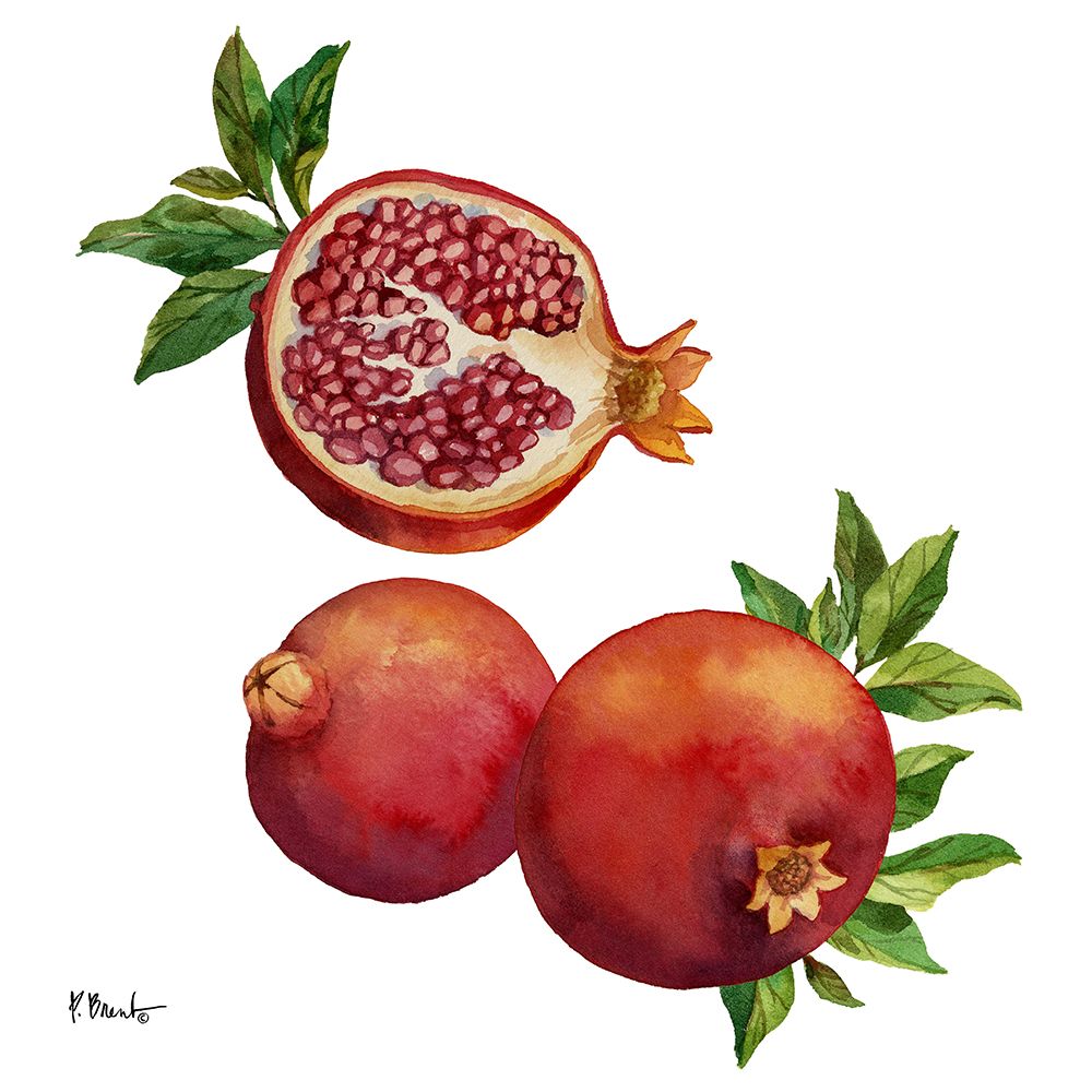 Pomegranate Bunch III art print by Paul Brent for $57.95 CAD