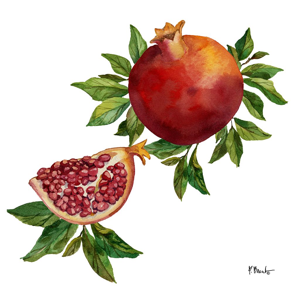 Pomegranate Bunch IV art print by Paul Brent for $57.95 CAD