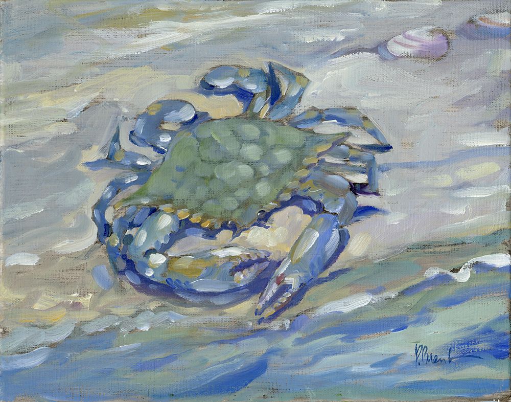 East Point Crab art print by Paul Brent for $57.95 CAD