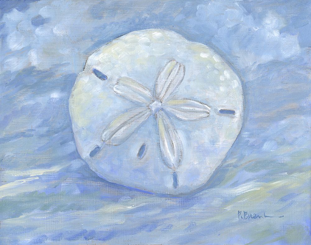 Impressions of Shells I - Sand Dollar art print by Paul Brent for $57.95 CAD