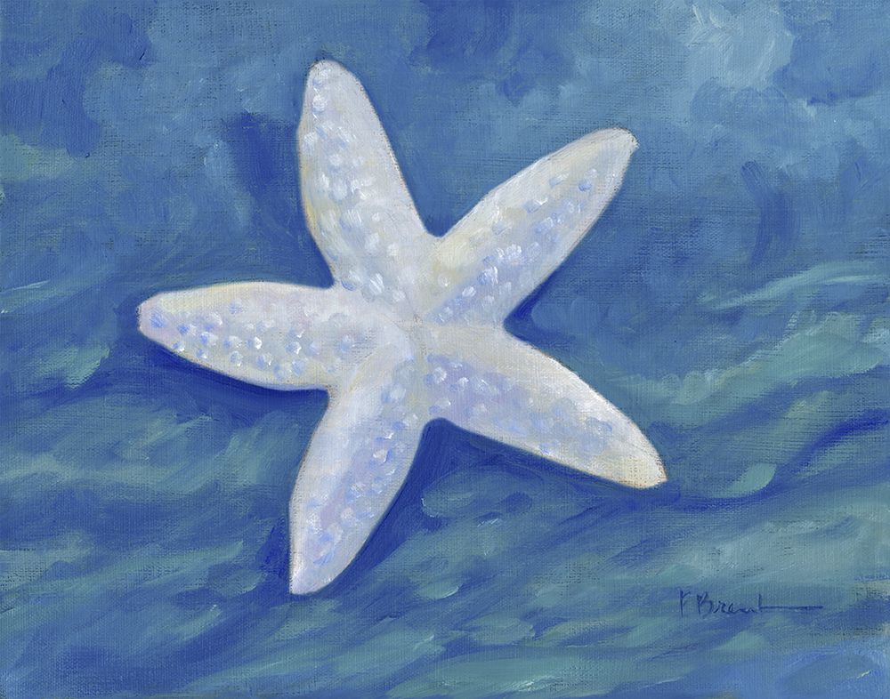 Impressions of Shells II - Starfish - Indigo art print by Paul Brent for $57.95 CAD