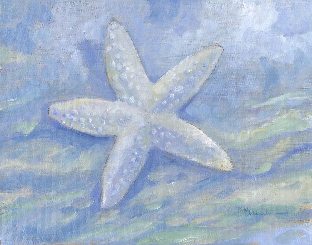 Impressions of Shells II - Starfish art print by Paul Brent for $57.95 CAD