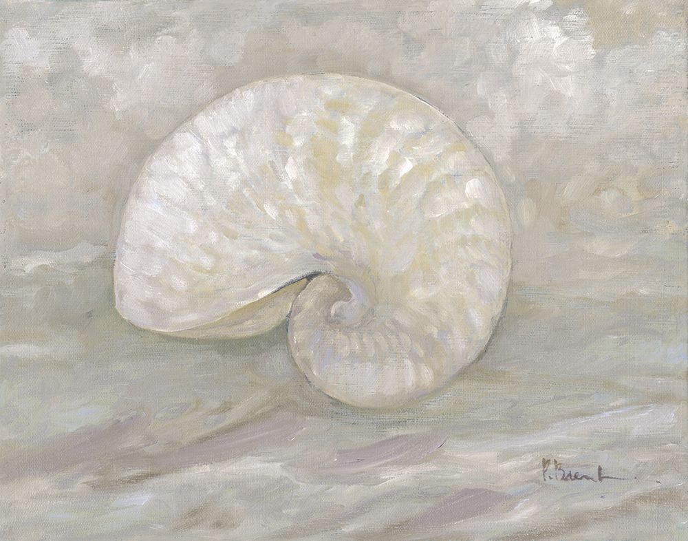 Impressions of Shells III - Nautilus - Neutral art print by Paul Brent for $57.95 CAD