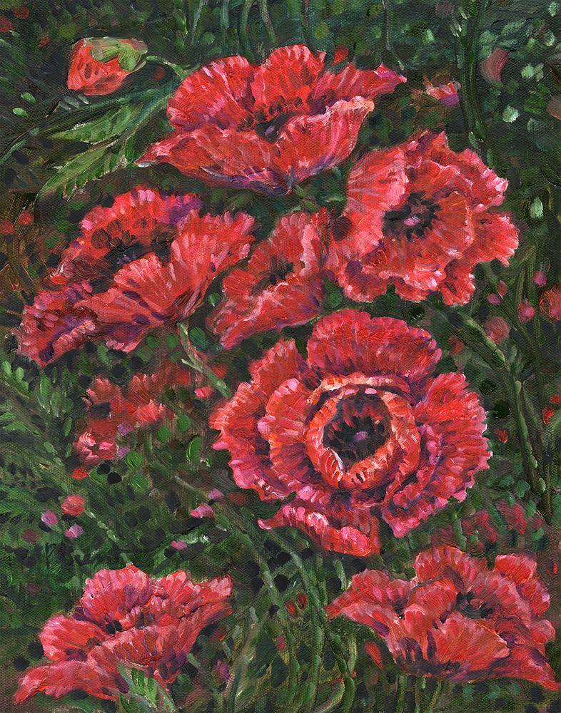 Impressions of Poppies art print by Paul Brent for $57.95 CAD