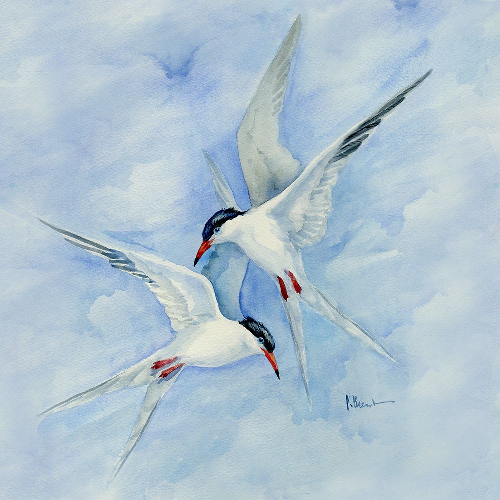 Terns in Flight art print by Paul Brent for $57.95 CAD