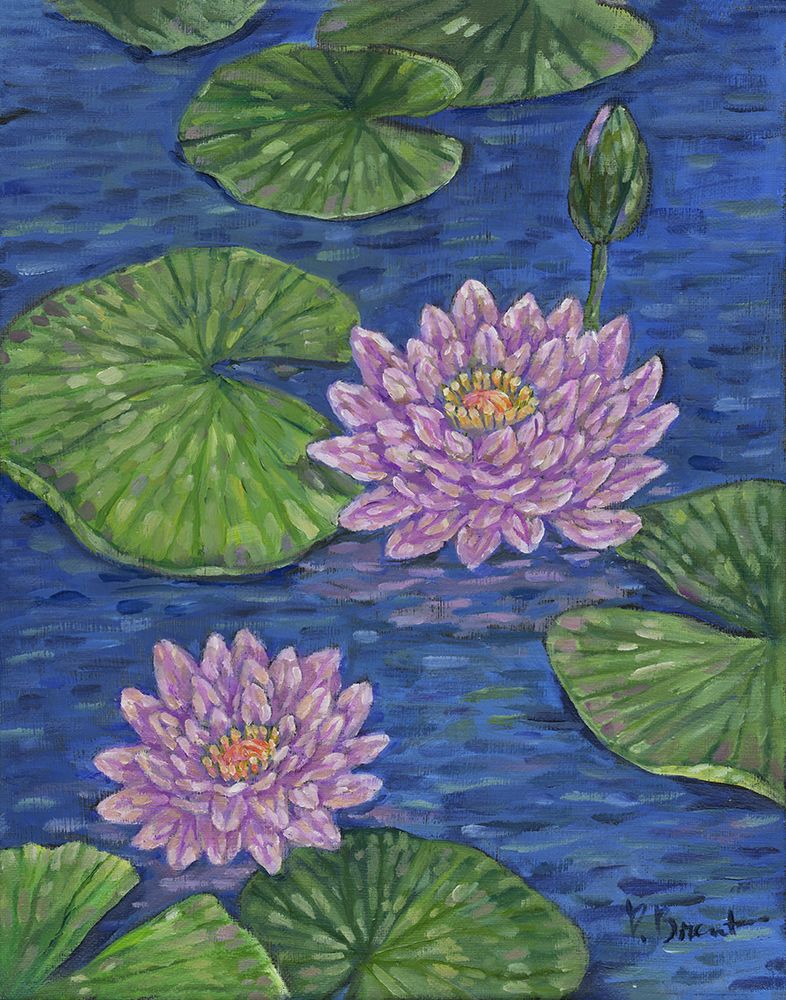 Impressions of Water Lilies II art print by Paul Brent for $57.95 CAD