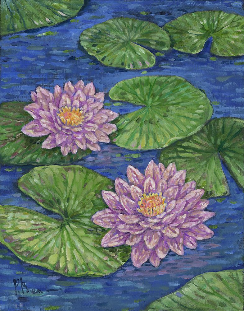 Impressions of Water Lilies III art print by Paul Brent for $57.95 CAD