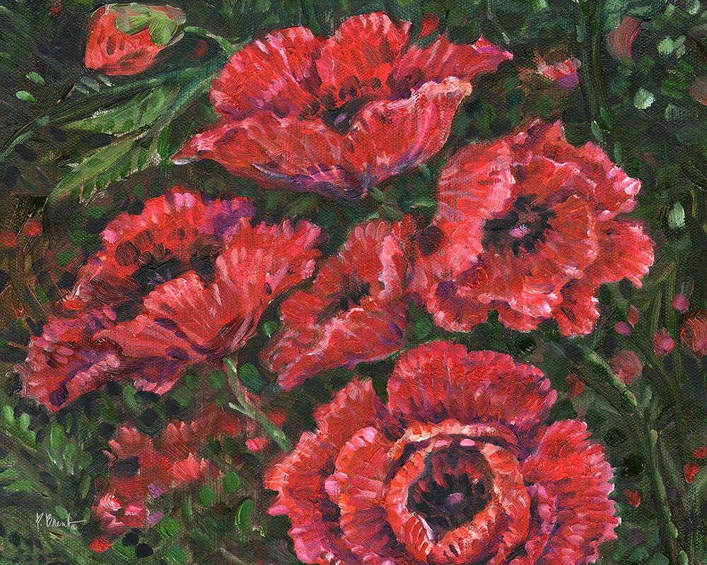 Impressions of Poppies Horizontal I art print by Paul Brent for $57.95 CAD